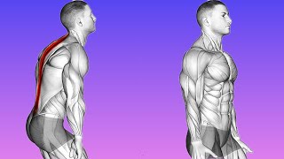 Straighten Up Effective Exercises for Spinal Alignment [upl. by Ardnaiek]