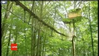 Cabane dans les arbres  Le chêne perché  Ardennes [upl. by Skiest]