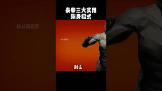 泰拳三大可用于防身的招式，威力巨大非险勿用funny shorts fighting [upl. by Ynaittirb594]