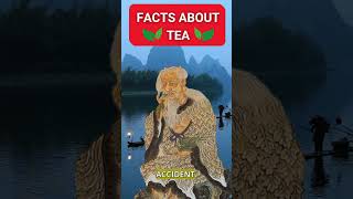 Facts About Tea facts interestingfacts tea viralvideo [upl. by Naraj379]