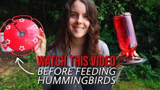 How to Feed amp Attract Hummingbirds 101  Feeder care ethics garden tips [upl. by Princess]