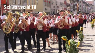 🚨🎉🎺 Großer Festumzug zur 555 Chilbi in Waldshut am Hochrhein am 20082023 HDVersion [upl. by Sakul]