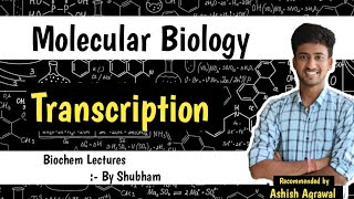 Transcription  Molecular Biology  Biochemistry lectures [upl. by Ocnarfnaig866]