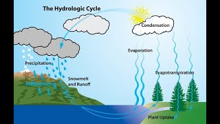 Understanding the Hydrological Cycle A Deep Dive [upl. by Yhtir]