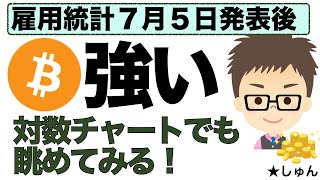 ビットコインBTC！米雇用統計７月５日発表後は「強い」〜対数チャートでも眺めてみた！ [upl. by Lleumas844]