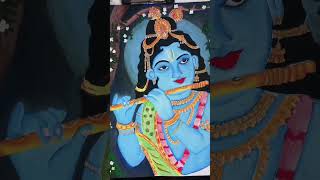 Sri Krishna Govinda hori muri song krishnashort [upl. by Anastasie]