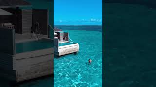 Jawakara Islands Maldives  Water Pool Villa [upl. by Irwinn]