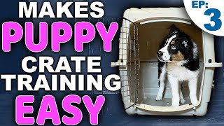 Picking The PERFECT Puppy Crate Training Location [upl. by Aihseket]