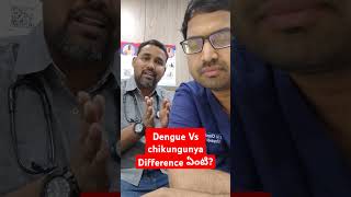 Dengue Vs chikungunya Difference ఏంటి Dr Sai ChandraDr Tanoj [upl. by Yks]