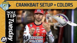 Brandon Palaniuk tells you which crankbait colors you should use Deep Water Fishing [upl. by Milak]