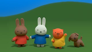 Miffy’s World Miffy is getting her puppy 🐶 tomorrow miffy bunny rabbit puppy cute [upl. by Woolson]