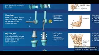 Anatomical movement 2 circumductionpronationsupination [upl. by Soble]