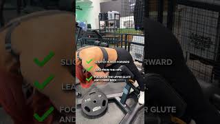 Glute Focused Hyperextensions  Do and Donts [upl. by Jobie87]