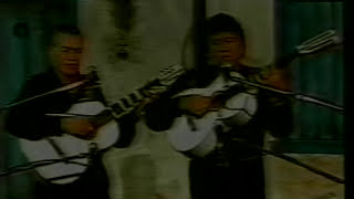 Tonico e Tinoco  Porque Programa Na Beira da Tuia  1983 [upl. by Nnylireg]