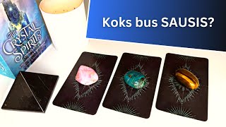 Taro  Koks bus SAUSIS [upl. by Lyon641]