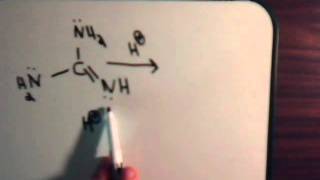 Organic Chemistry Video  17 Resonance  Example 13 Guanidine [upl. by Othella]