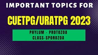 Class Sporozoa Phylum  Protozoa  UratpgCUETPG 2023 zoology  Mudgalbiology [upl. by Aicemak]