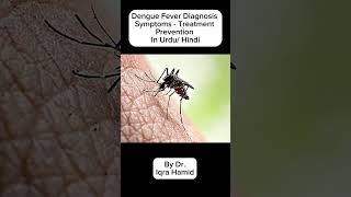 Dengue Fever  Symptoms  Diagnosis  Treatment  PreventionIn Urdu Hindi [upl. by Lander222]