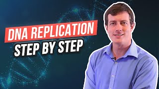 6 Steps of DNA Replication [upl. by Yleek]