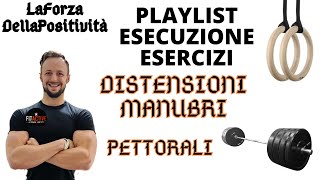 DISTENSIONI MANUBRI PANCA PIANA  DUMBBELS PRESS  PETTORALI [upl. by Auvil]