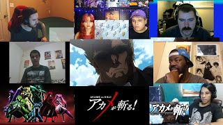 Akame Ga Kill Episode 20 Reaction Mashup [upl. by Atik708]