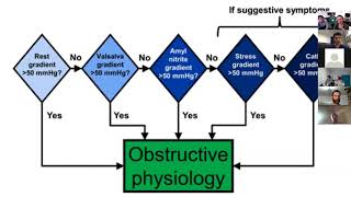 LVOT Obstruction [upl. by Ilaire]