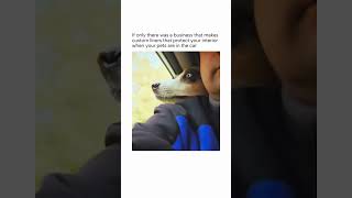 ecolinerusa dogs dogsoftiktok dogsincars cars jdm emplus cargoliners cargomats [upl. by Arza]