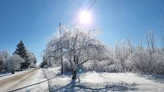 Winter Walk Along the Oswegatchie River [upl. by Artema]