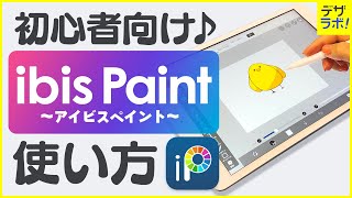 【初心者必見】デザイナーが教える アイビスペイントの使い方～超入門～【ibisPaintお絵描き・イラストアプリ】 [upl. by Salocin]