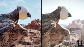 Meerkat Demo Comparison UE4 vs UE51 LIGHTING STUDY [upl. by Havener873]