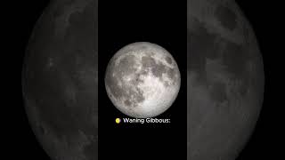 Moon Phases Explained A Simple Guide to the Lunar Cycle in 60 Seconds [upl. by Anetta]