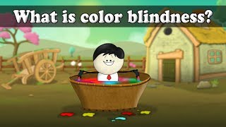 What is color blindness  aumsum kids science education children [upl. by Lebisor605]