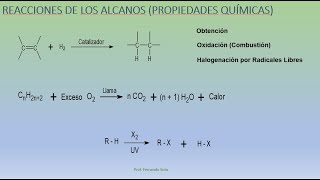 Reacciones de los Alcanos [upl. by Mcgaw]