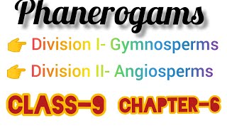 Phanerogams gymnosperms angiosperms Class9chapter6 [upl. by Ahsiet]