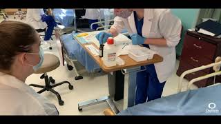 InLab Activities  Practical Nurse [upl. by Nagap]