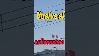 El culiacanazo lospshorts narcos culiacan ejercitomexicano narcosmexico [upl. by Ithaman540]