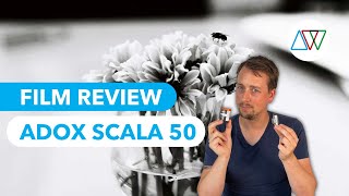 Adox Scala 50 Film Review Reversal Processing 🧐 [upl. by Madox]