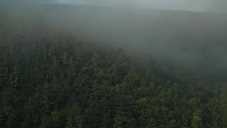 Beachfront BRoll Mountain Fog Free to Use HD Stock Video Footage [upl. by Marie-Ann]