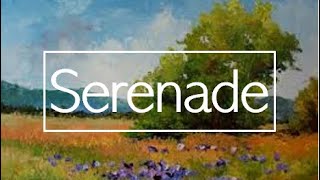 Schubert  Serenade  One Hour Extended [upl. by Connie974]