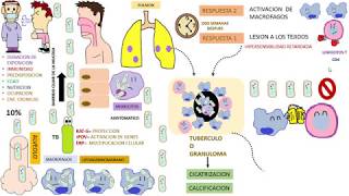 Micobacterium Tuberculosis [upl. by Nelac]