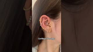 How Many Cartilage Piercings Do You Have in Total Lobes are not cartilage [upl. by Alphonse581]