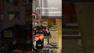 LELY Robotic Milker [upl. by Nageek567]