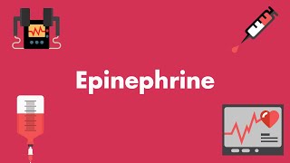 Epinephrine  Vasopressors amp Inotropes  MEDZCOOL [upl. by Natiha]