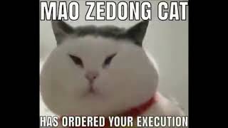 Mao Zedong Cat Has Ordered Your Execution  1 HOUR Loop [upl. by Elijah]