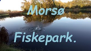 Morsø Fiskepark  Impulsiv Søndagstur [upl. by Haleehs]