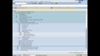 sap cin training  sap extended withholding tax configuration training [upl. by Annetta920]