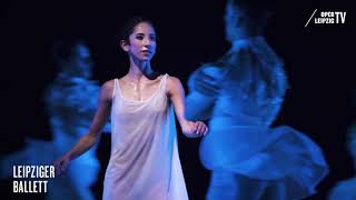 »Schwanensee«  LEIPZIGER BALLETT [upl. by Eilagam]