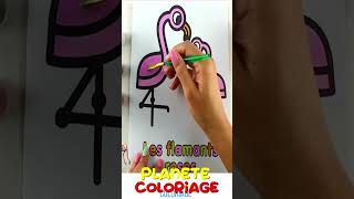 Coloriage Flamands roses vidéo éducative amp Planète coloriage [upl. by Estelle7]