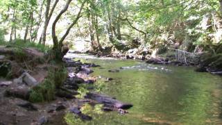 Tarr Steps Exmoor National Park Somerset Summer Scenes  17th September 2009 [upl. by Jehius]