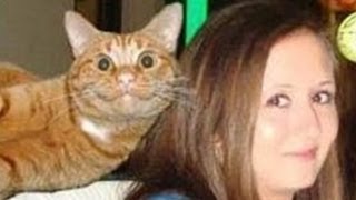 Animal Photobombs That Will Make Your Day Better [upl. by Alduino189]